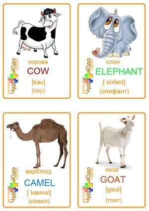Пособия Английские карточки Английски карточки животные, карточки с животными для английского язык...