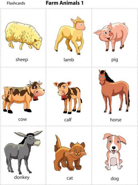 Пособия английские карточки животные на английском, для детей