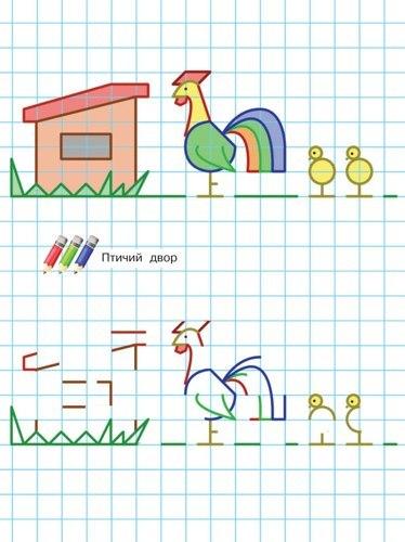 Пособия Уроки рисования птичий двор, рисовать по клеточкам для детей 6 лет
