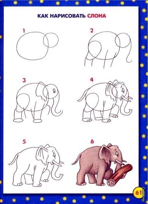 Пособия рисования как нарисовать слона, слоник, слоненок, уроки рисования животных